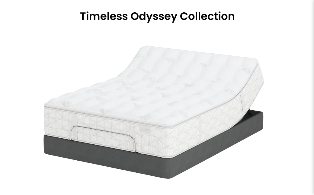 Timeless Odessey Collection