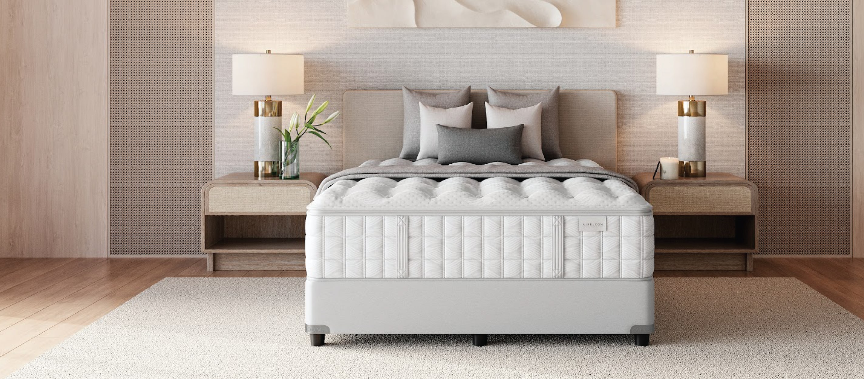 Timeless Odyssey Collection