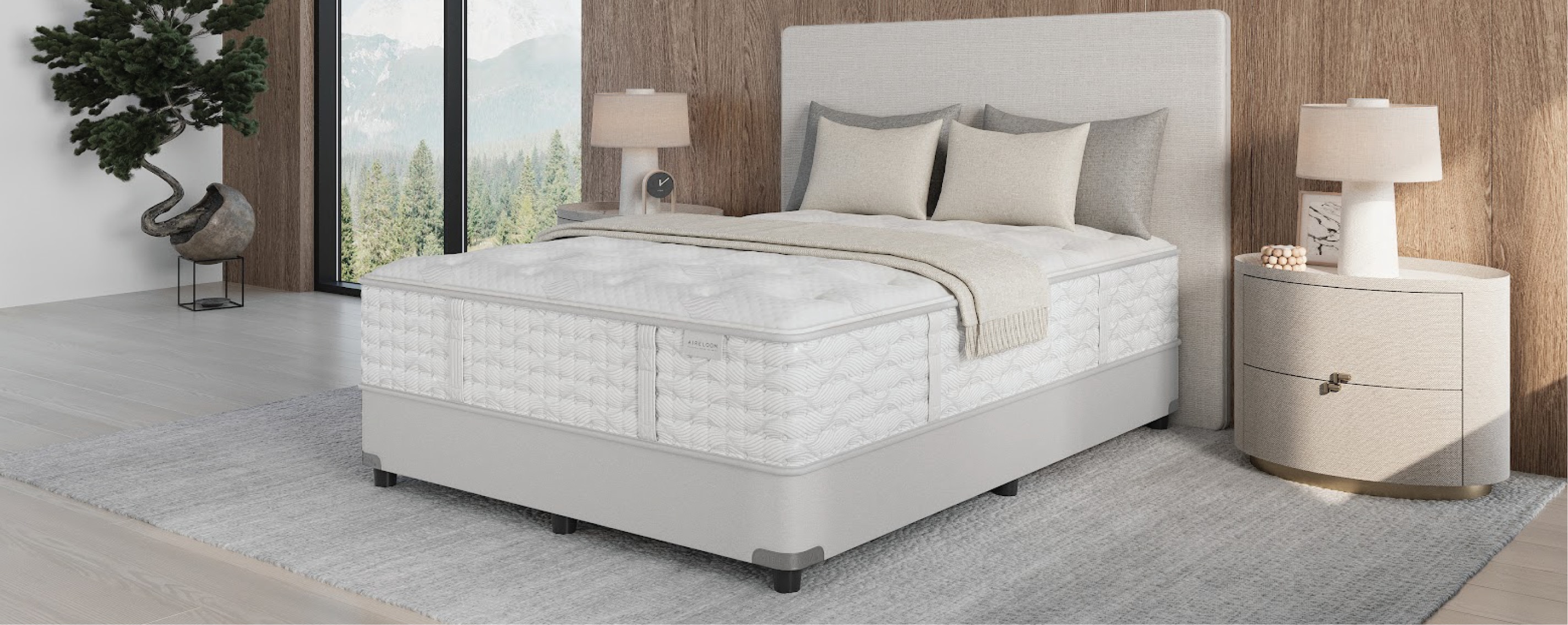 Timeless Odyssey Collection