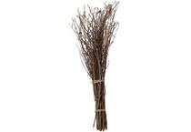 abfl brown grasses sticks greens   
