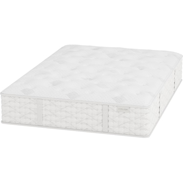 2026 Edition Aireloom Streamline Plush