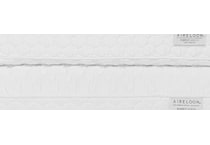 aireloom white pillows   