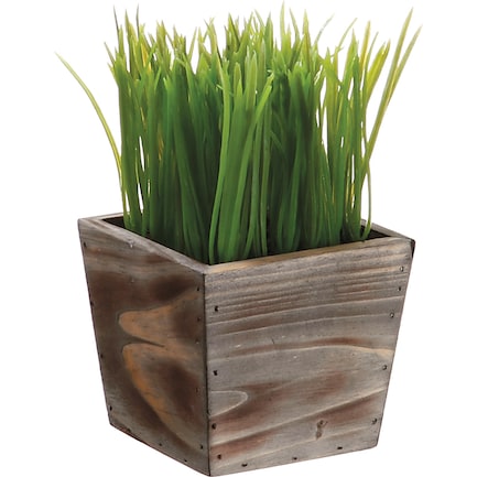 Grass in Small Wood Planter 4.5"W x 8"H