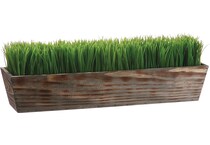 alls green grasses sticks greens   