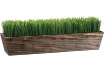 alls green grasses sticks greens   