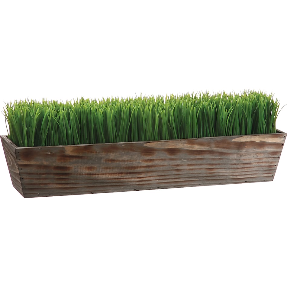 alls green grasses sticks greens   