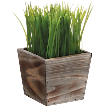 Grass in Small Wood Planter 4.5"W x 8"H