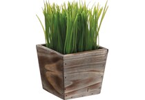 alls green grasses sticks greens   