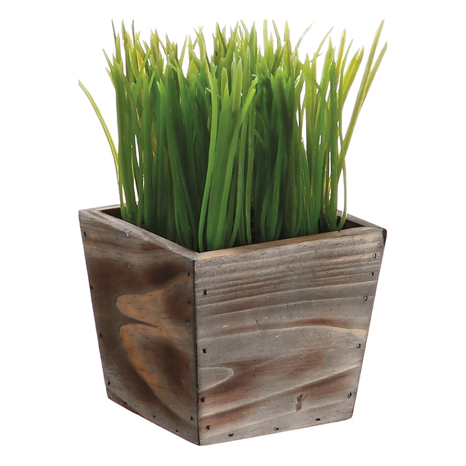 alls green grasses sticks greens   