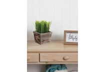 alls green grasses sticks greens   