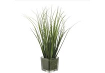alls green grasses sticks greens   