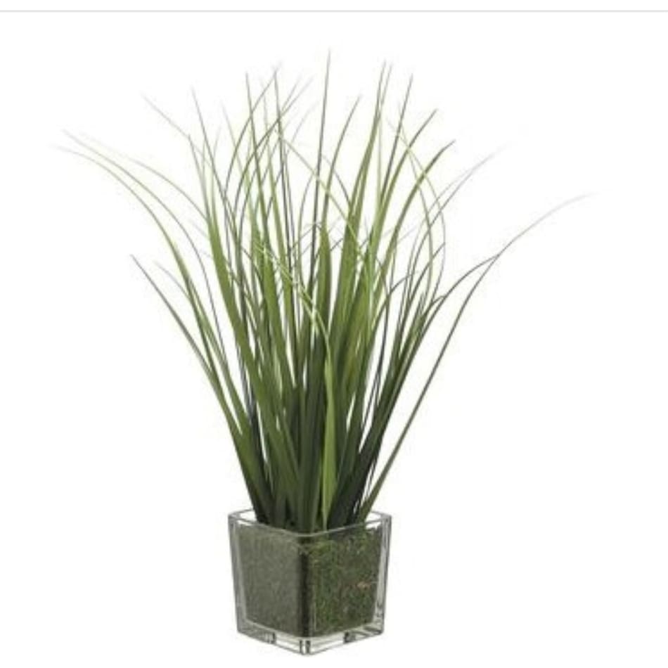 alls green grasses sticks greens   