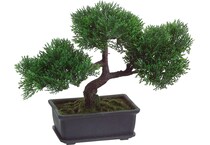 alls green plants   