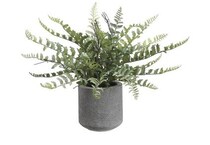 alls green plants   
