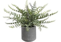 alls green plants   