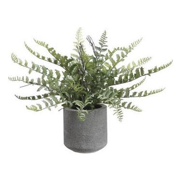 Fern In Cement Pot 15"H