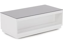 ashy black & white cocktail table cnt  