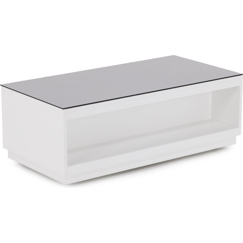 ashy black & white cocktail table cnt  