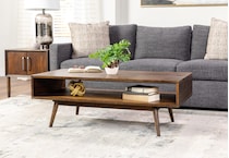 ashy brown cocktail table lifestyle image   