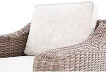 ashy brown firepit pkg  