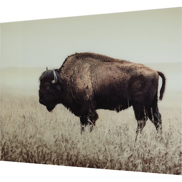 Bison Glass Wall Art 48"W x 36"H