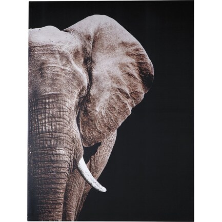 Elephant Canvas Art 36"W x 48"H