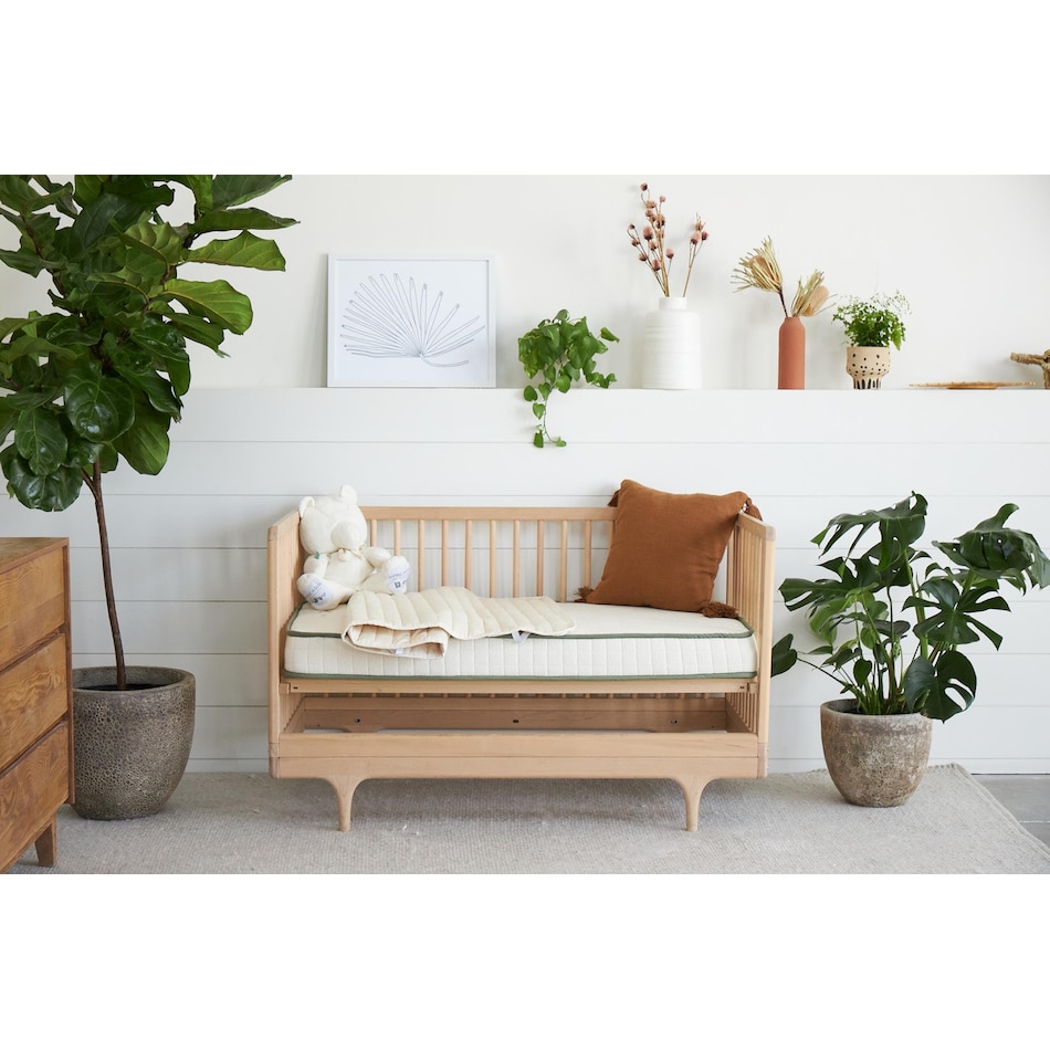 avocado cream misc size   