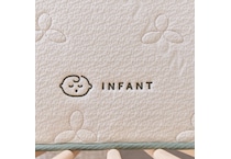 avocado cream misc size   