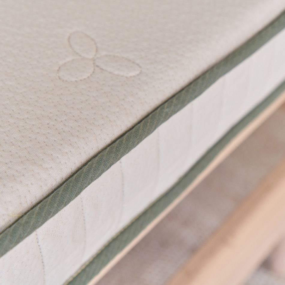 avocado cream misc size   