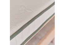 avocado cream misc size   