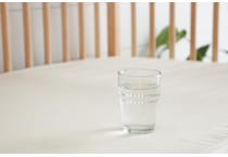 avocado cream misc size   