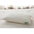Avocado Green Queen Pillow