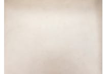 beige swatch  