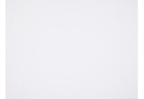 black & white swatch  