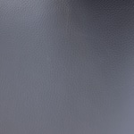 blue swatch  