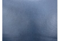 blue swatch  