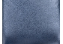 blue swatch  