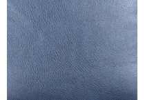 blue swatch  