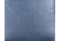 blue swatch  