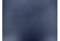 blue swatch  