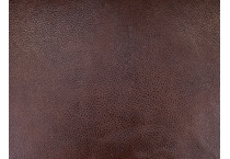 brown swatch  