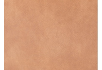 brown swatch  