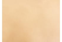 brown swatch  