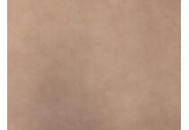 brown swatch  