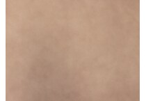 brown swatch  