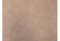 brown swatch  