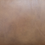 brown swatch  