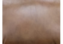 brown swatch  