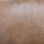 brown swatch  