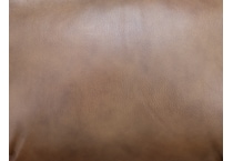 brown swatch  